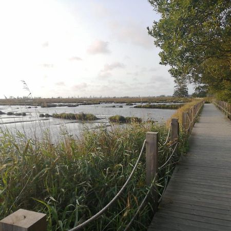 Villa Casa Da Balseira Aveiro Esterno foto