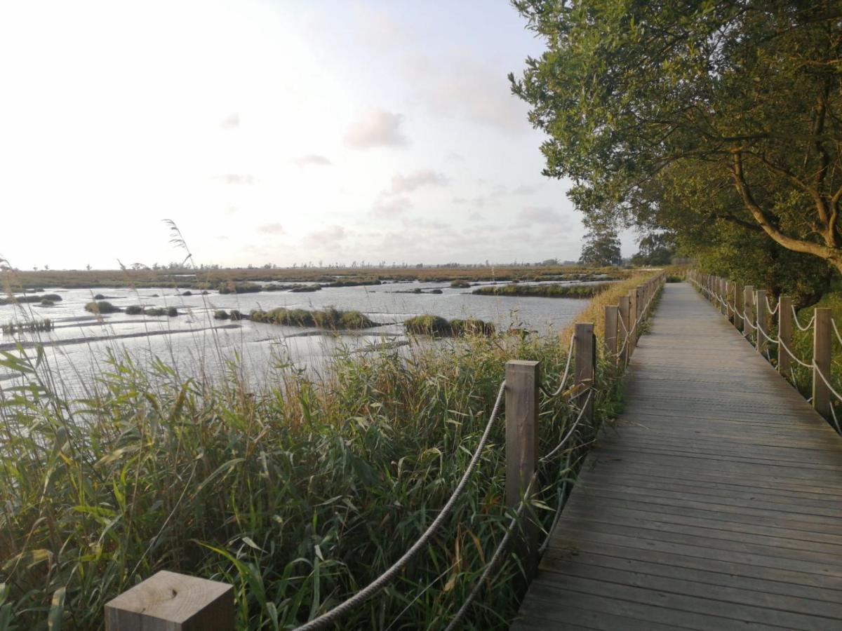 Villa Casa Da Balseira Aveiro Esterno foto